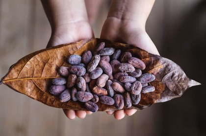 ¿Cómo invertir en Cacao desde Chile?