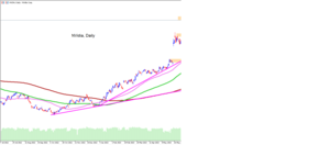 NVIDIA: ¿Qué esperar de los resultados?