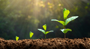 Renta fija: ¿momento de aumentar la duración?