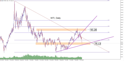 WTI: El barril de petróleo se desploma en los últimos meses del año