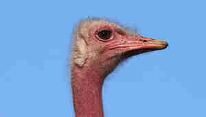 No está prescrita la reclamación de reembolso de gastos de hipoteca y algunos pronósticos: Sentencia del TJUE de 25/1/24