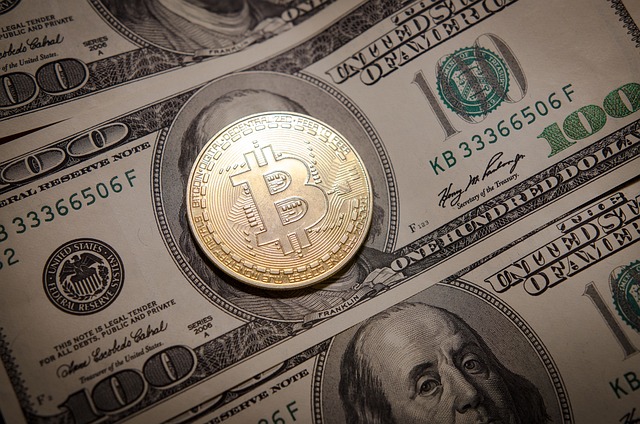 Rose Crypto (ROSE): qué es y cómo funciona Oasis