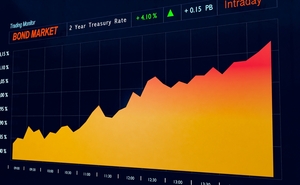 El rendimiento y la rentabilidad de los bonos del estado