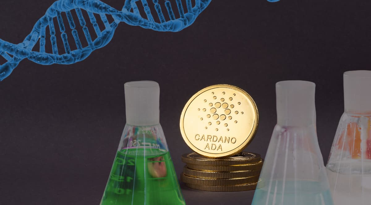 Cardano: la criptomoneda científica | Rankia