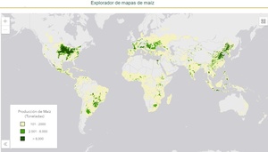 ¿Cómo invertir en maíz desde Perú? Acciones, ETFs y Derivados