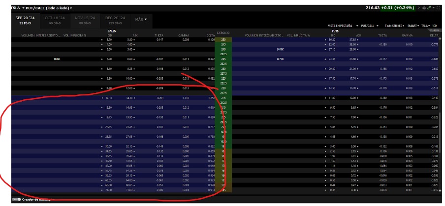 ITM call opciók az Interactive Brokers opciós láncában