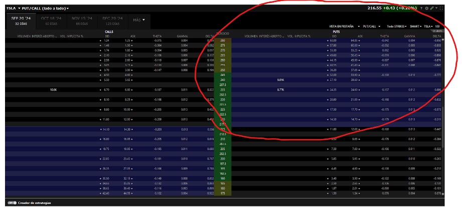 ITM put opciók az Interactive Brokers opciós láncában