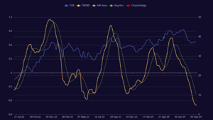 Invertir en Turquía con ETFs
