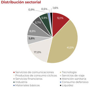 Tesys Internacional FI: Análisis y opinión