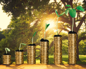 ¿Se puede llenar una cisterna sin agua y abastecer una casa durante la sequía?