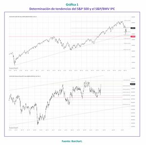 Visión microscópica