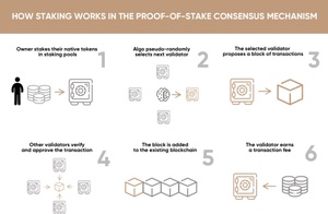 Proof of Stake (PoS): ¿Qué es y cómo funciona?