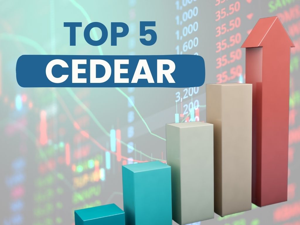 5 nuevos CEDEARs con más futuro para invertir en 2025 | Rankia