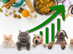 Invertir en el mercado de mascotas: ¿vale la pena?