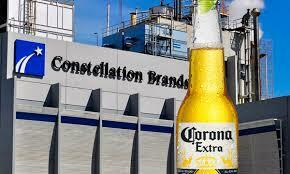 ¿Por qué Warren Buffett compró acciones de Constellation Brands y cómo invertir desde México?