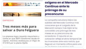 Otro jardín vedado para el minorista: Duro Felguera.