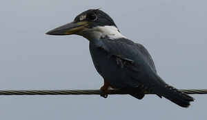 STS 17/6/2025: cuándo es nula la comisión de apertura. Crítica: error en enjuiciamiento de cláusulas abusivas y costas