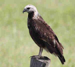 STS 17/6/2025: cuándo es nula la comisión de apertura. Crítica: error en enjuiciamiento de cláusulas abusivas y costas