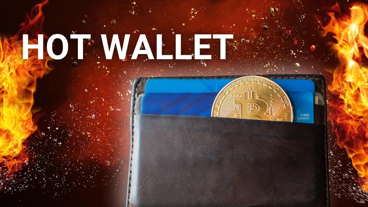Vas a guardar criptos? Lo que debes saber sobre las Hot Wallets
