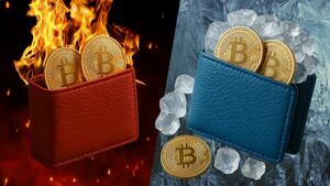 Hot Wallet vs Cold Wallet: ¿cuál te conviene según tu perfil?