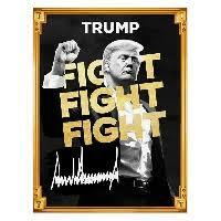 Trumpcoin una memecoin famosa