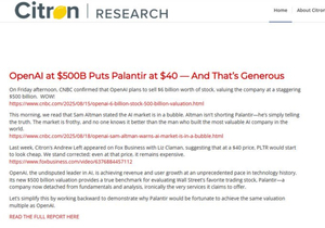 Citron y Palantir, cordial antipatía.