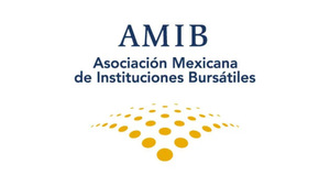 Asociación Mexicana de Instituciones Bursátiles (AMIB): Funciones, estructura e importancia