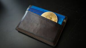 ¿Cuál es la wallet más segura para guardar BTC?
