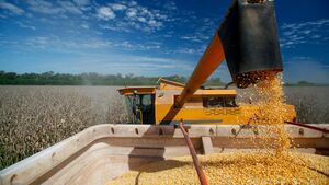El Gobierno Nacional eliminó las retenciones a los granos: ¿qué implica para el sector agropecuario?