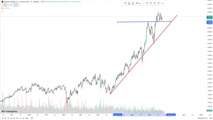 3 empresas casi “monopolio" con mucho margen de expansión