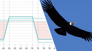 Iron Condor: la estrategia de opciones para mercados laterales Iron Condor: la estrategia de opciones para mercados laterales