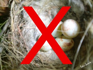 La diversificación: el arte de reducir el riesgo sin renunciar a la rentabilidad