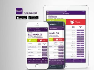 Análisis de Kuspit: productos, comisiones, cómo abrir cuenta y alternativas