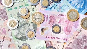 Bono de tasa fija y bono de tasa variable: definición, diferencias y ejemplos