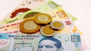 Actividades económicas de México por estados y su aportación al PIB