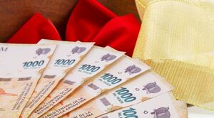 Aguinaldo 2025 para jubilados y pensionados ANSES: montos finales y cronograma