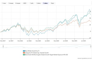 Mejores Fondos Quality Growth en 2026: análisis y comparativa
