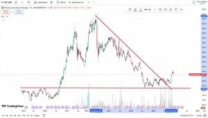 ¿Cómo invertir en soja desde España? | Acciones y ETFs