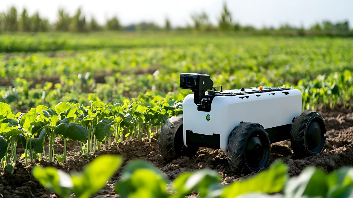 ¿Cómo invertir en agricultura? Acciones, ETFs y fondos de inversión