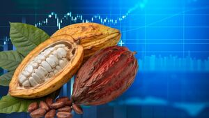 ¿Cómo invertir en Cacao? Acciones, ETFs y Derivados