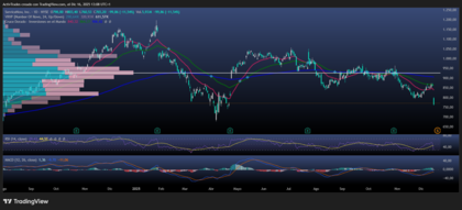 ServiceNow acelera su transformación con Armis mientras el mercado exige claridad
