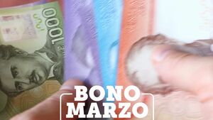 Bono Marzo 2026: cómo asegurar tu Aporte Familiar Permanente antes de los pagos oficiales