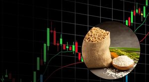 Invertir en arroz: Cómo operar el "oro blanco" de Asia e incluirlo en tu cartera