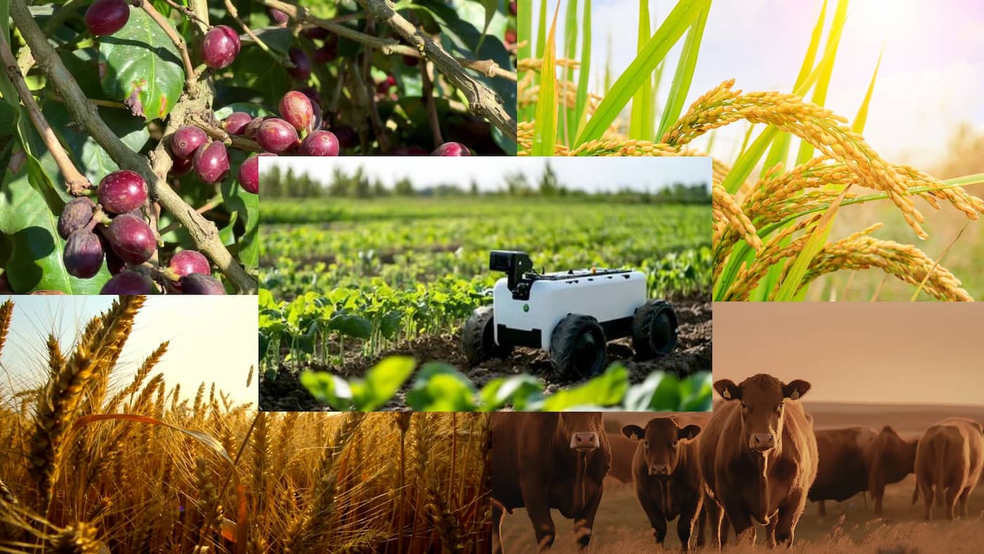 Invertir en Materias Primas Agrícolas desde Chile: Guía completa 2026