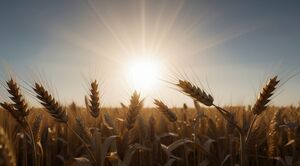 ¿Cómo invertir en trigo desde Chile? | Acciones, ETFs y derivados disponibles