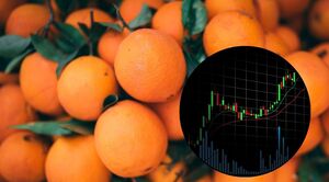 Cómo invertir en zumo de naranja desde Chile