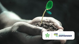 ¿Qué es el Fondo Emprender FENA?: Requisitos, Capital Semilla y Cómo Aplicar