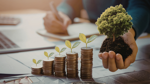 Inversiones de impacto: cuando el dinero quiere (y cuando finge) salvar el mundo