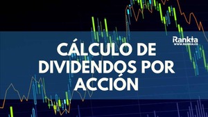 Dividendo por Acción: ¿Cómo se determina cuánto dinero recibes?