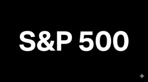 ¿Es un error invertir TODO en el S&P 500?